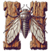 Cicada letter H