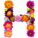 Letter H in Summer Flowers type design