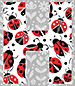 Ladybug type letter H
