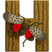 Lanternfly letter H