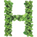 Mint letter H design