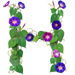 Letter H in Morning Glory type design