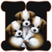 Puppies type letter H
