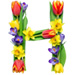 Letter H in Spring Flowers type design