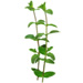 Sprig letter I design