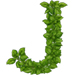 Basil letter J design