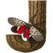 Lanternfly letter J