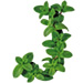 Mint letter J design