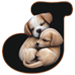 Puppies type letter J