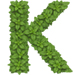 Basil letter K design