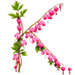 Letter K in Bleeding Hearts type design