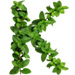 Mint letter K design