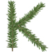 Rosemary letter K design