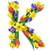 Letter K in Spring Flowers type design