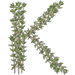 Thyme letter K design