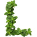 Mint letter L design