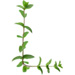 Sprig letter L design