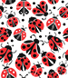 Ladybug Pattern