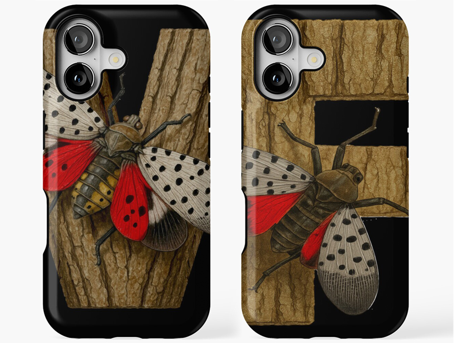 LANTERNFLY PHONE CASES