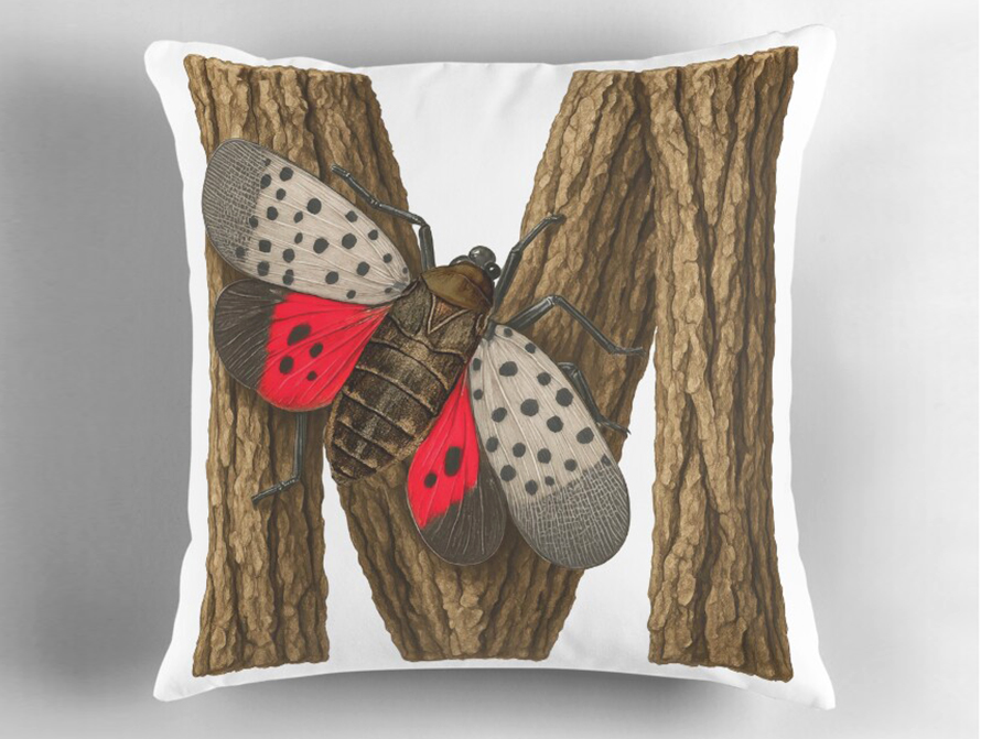 LANTERNFLY PILLOW