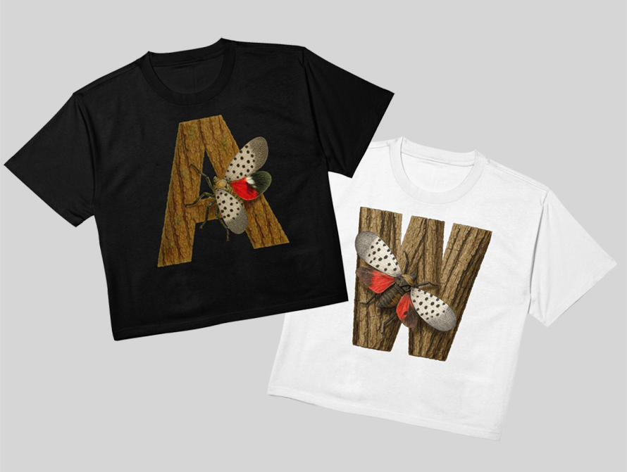 LANTERNFLY TSHIRT