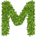 Basil letter M design