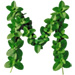 Mint letter M design
