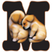Puppies type letter M