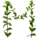Sprig letter M design