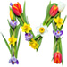 Letter M in Spring type design