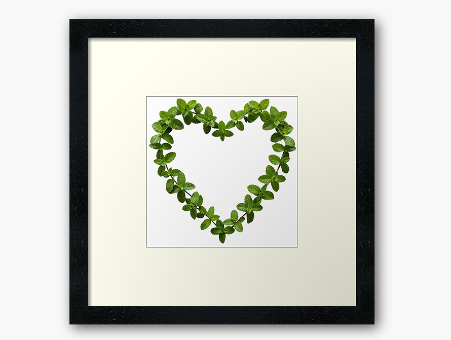 Mint Home Decor