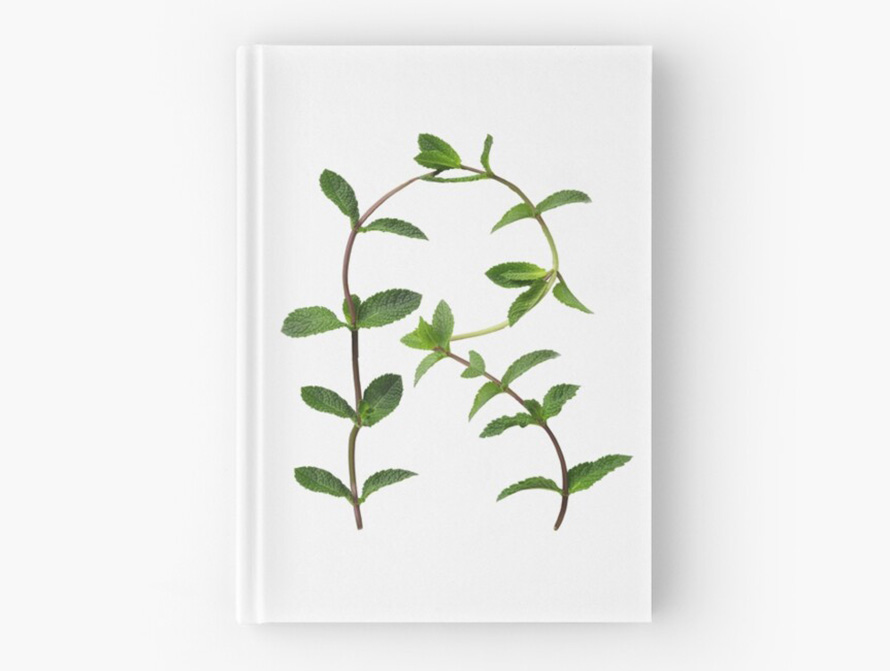 Mint journal