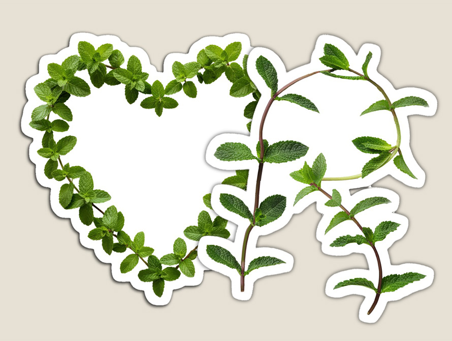 Mint Magnets