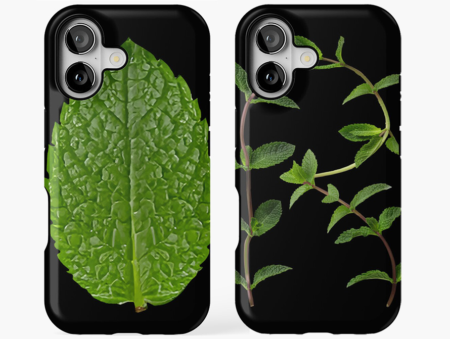 Mint letter cell phone cases