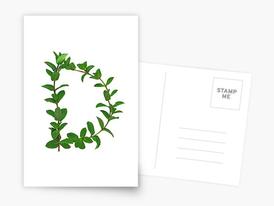 Mint Postcard