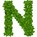 Basil letter N design