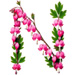 Letter N in Bleeding Hearts type design