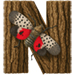 Lanternfly letter N
