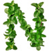 Mint letter N design