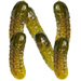 Pickles type letter N