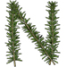 Rosemary letter N design