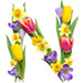 Letter N in Spring Flowers type design