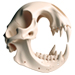 Bones letter O design