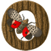 Lanternfly letter O