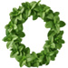 Mint letter O design