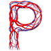Blood type letter P