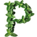 Mint letter P design