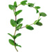 Sprig letter P design