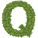 Basil letter Q design