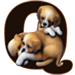 Puppies type letter Q